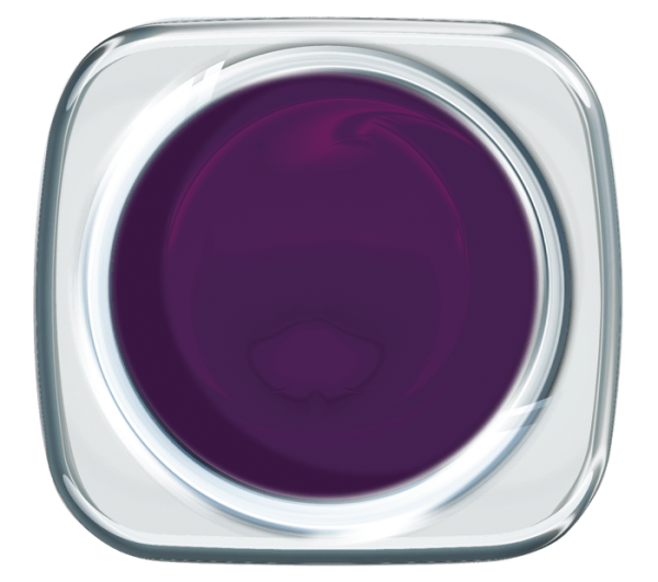 Colour UV Gel Midnight Purple 935 5g - HN (Hollywood Nails)